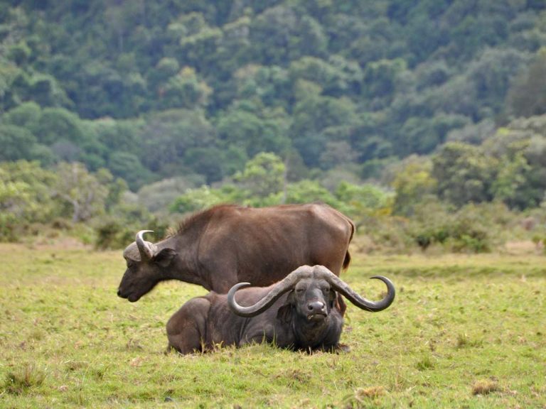 Arusha-National-Park
