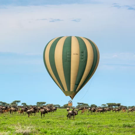 Balloon-and-Wildebeest-in-Ndutu2