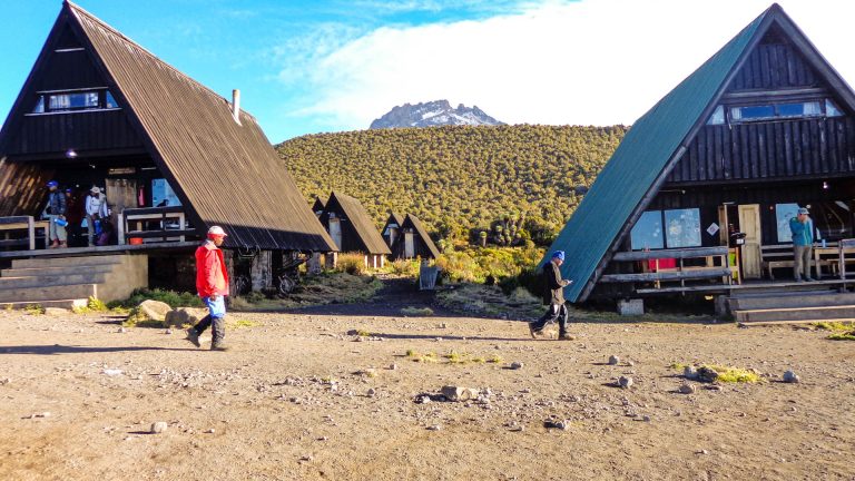 Kilimanjaro Hiking Adventure (1)