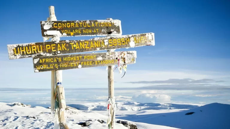 Kilimanjaro Hiking Adventure (1)