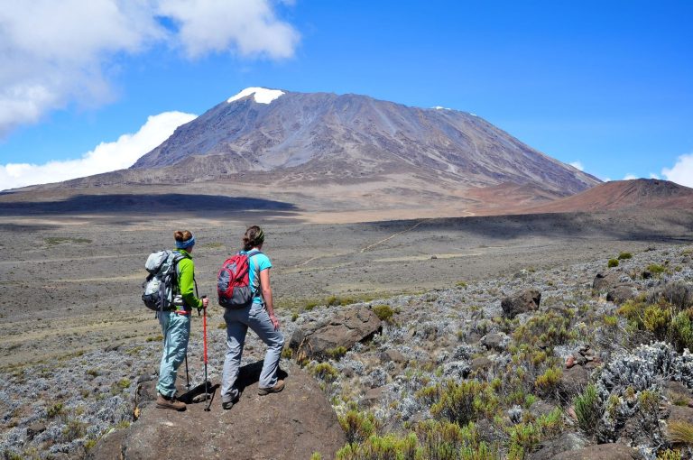 Kilimanjaro Hiking Adventure (13)