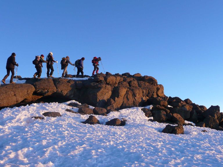 Kilimanjaro Hiking Adventure (16)