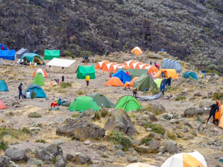 Kilimanjaro Hiking Adventure (20)