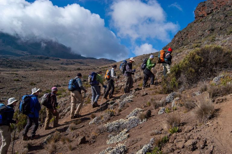 Kilimanjaro Hiking Adventure (5)