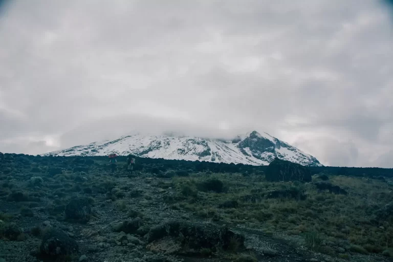 Kilimanjaro Hiking Adventure (6)