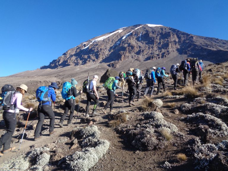 Kilimanjaro Hiking Adventure (6)
