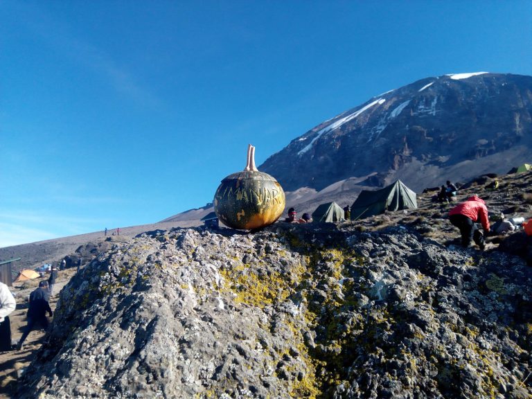 Kilimanjaro Hiking Holidays (45)