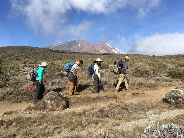 Kilimanjaro-training