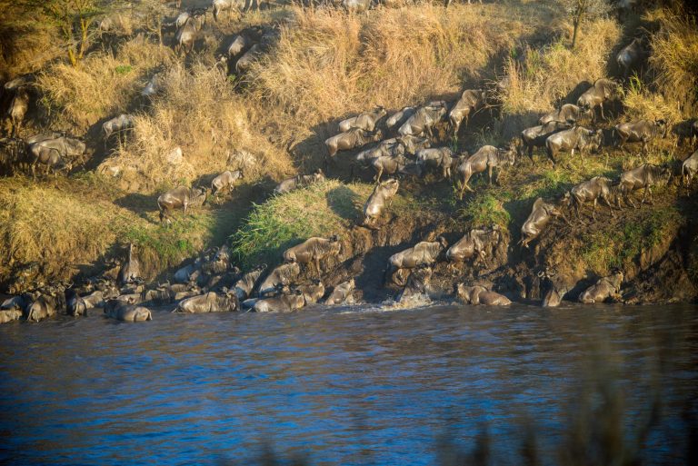 Serengeti-Migration-Safari-5
