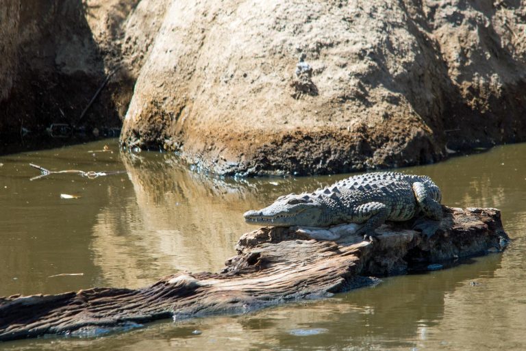 Tanzania-Safari-Tours-20