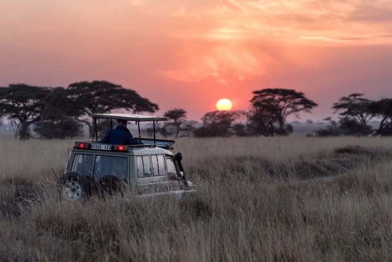 Wildlife Safari (32)
