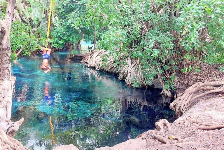 kikuletwa-hotspring-day-trip-3203855
